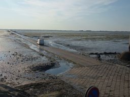 2026-07-12 - barbatre (07)